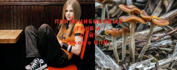 мяу мяу мука Елизово