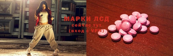 мяу мяу мука Елизово