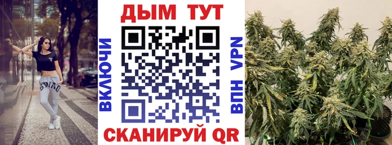 Купить где Петровск Каннабис MAZAR